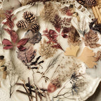 40 pcs Rose Plant PET Stickers Flowers And Leaf Scrapbook Deco Sticker Label Diary stationery Junk Journal Planner Materials